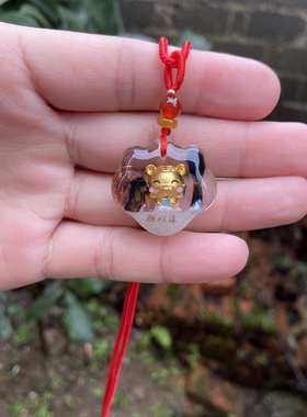 婴儿胎发纪念品diy纯手工制作十二生肖胎毛乳牙脐带储存吊坠项链