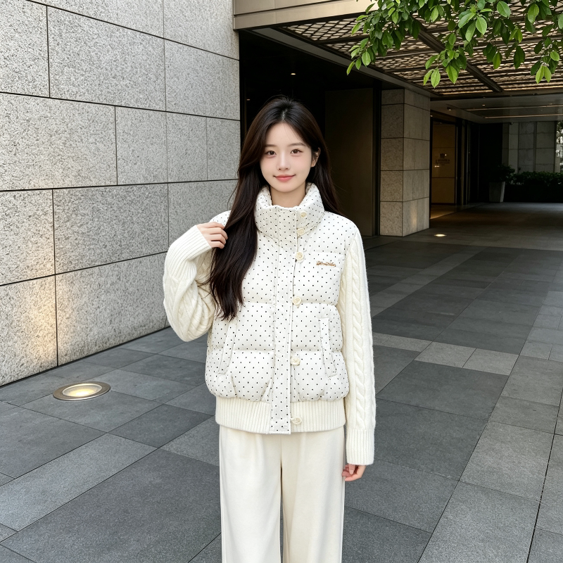 温柔风波点立领休闲收腰显瘦小个子加厚保暖防寒棉服外套女麻花袖