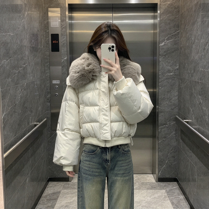 大翻领毛领轻奢风气质短款加厚保暖防寒棉服外套女设计感面包服潮