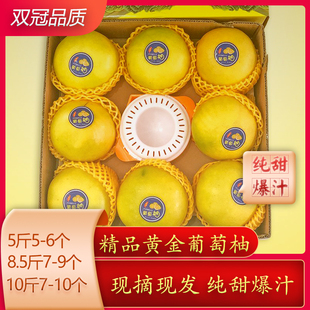 送礼佳选:福建漳州黄金葡萄柚新鲜蜂蜜小柚子玲珑柚萄葡柚甜柚子