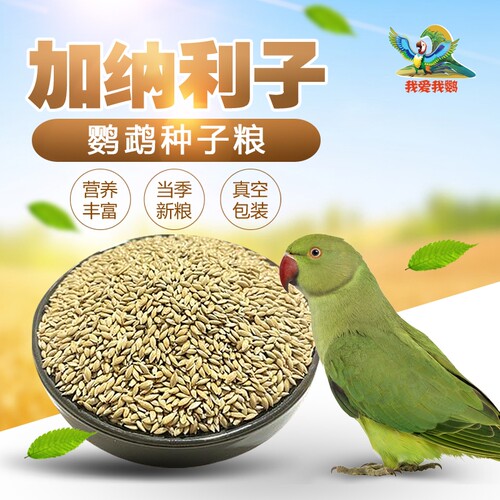鹦鹉零食加纳利子虎皮玄凤牡丹鸟粮饲料