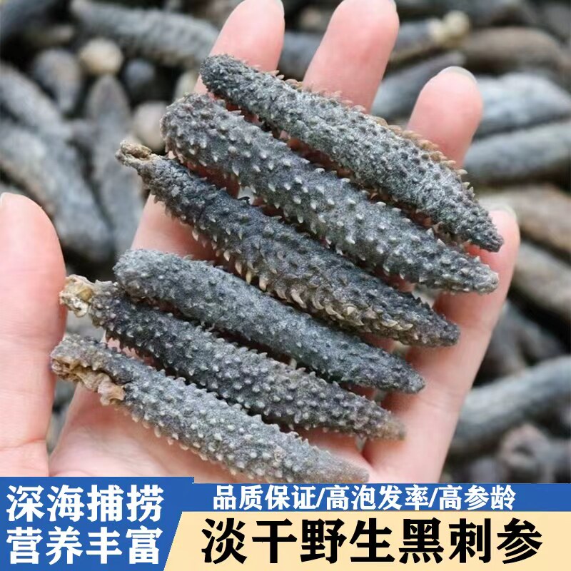 野生纯淡干黑刺参海参干货正品500g克特价孕妇小刺参非大连辽参