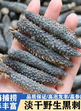 野生纯淡干黑刺参海参干货