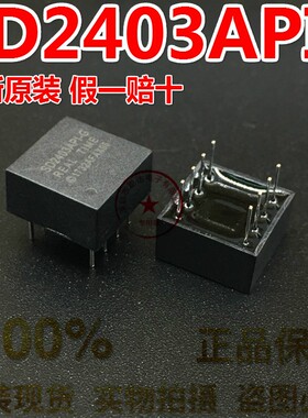 SD2403API-G SD2403API 直插 DIP-8 高精度实时时钟IC 原装正品