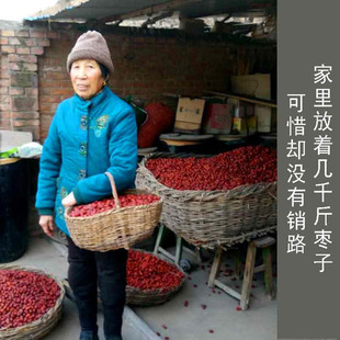 爱心义卖黄河滩枣山西特产临县红枣散装大小粽子枣一箱8斤装包邮