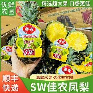 菲律宾进口佳农SW凤梨蜂蜜树上熟金钻金菠萝大果新鲜孕妇水果顺丰