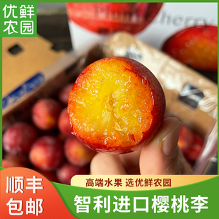 现货空运智利樱桃李大果新鲜时令水果大李子4J酸甜可口顺丰包邮