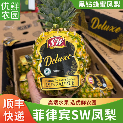 菲律宾SW黑钻蜂蜜菠萝树上熟