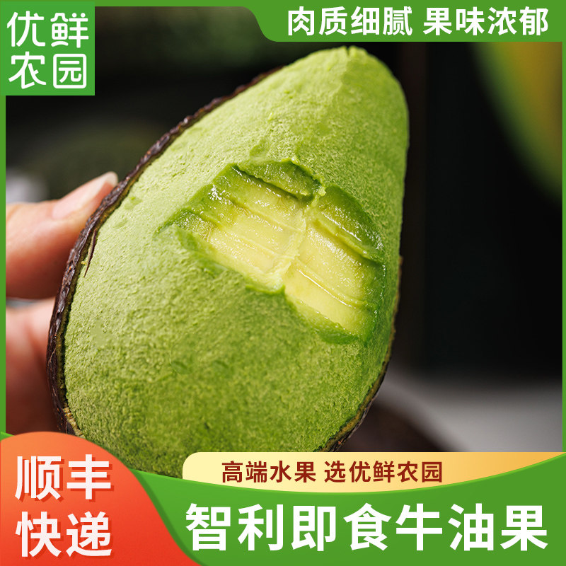 智利树熟即食牛油果4-6个装特选进口新鲜水果鳄梨果宝宝辅食水果