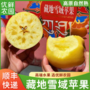 藏地冰川金玉苹果高原维纳斯雀斑冰糖苹果丑苹果新鲜水果整箱顺丰