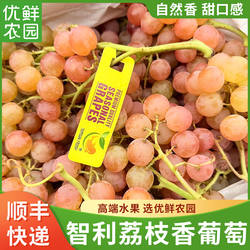 巨香荔枝香葡萄小虎鲸智利空运自带香味新鲜应季无籽红提水果顺丰