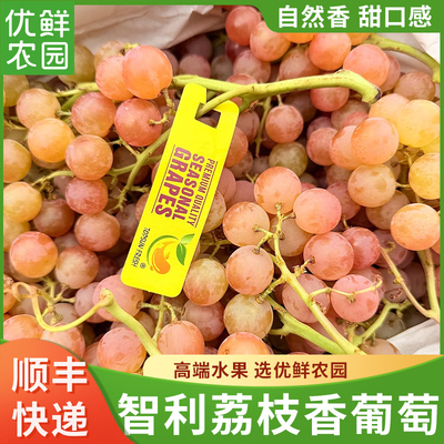 智利空运自带香荔枝香提子