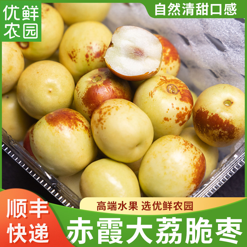 陕西大荔冬枣赤霞脆枣清甜新鲜现摘脆甜当季水果嘎嘣脆枣子顺丰