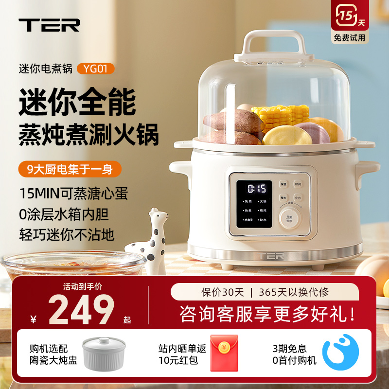 TER电蒸锅家用多功能智能蒸箱蒸煮一体锅多层小型蒸汽锅蒸蛋器
