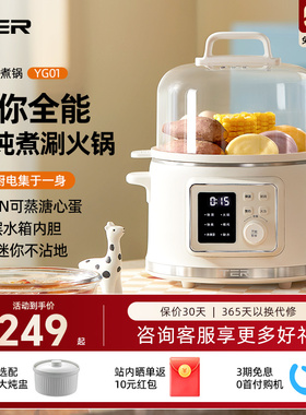 TER电蒸锅家用多功能智能蒸箱蒸煮一体锅多层小型蒸气锅蒸蛋器