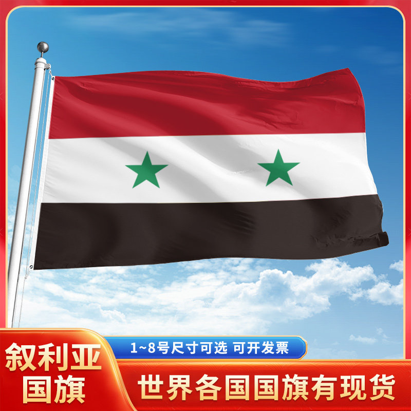 叙利亚国旗12345号户外世界各国旗帜万国旗手摇旗串旗定制办公桌