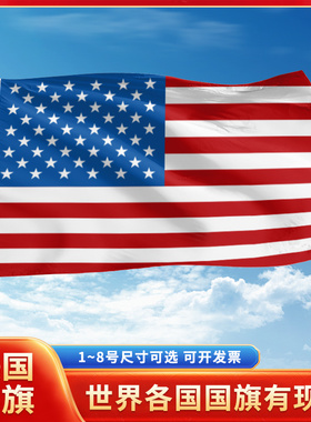 美国国旗3号4号5号6号户外旗手摇旗串旗办公桌旗室内会议签约旗帜外国旗万国旗小旗帜商场广场装饰吊旗落地旗