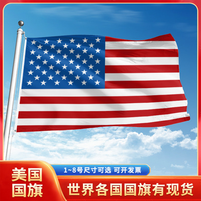美国国旗3号4号5号6号户外旗手摇旗串旗办公桌旗室内会议签约旗帜外国旗万国旗小旗帜商场广场装饰吊旗落地旗