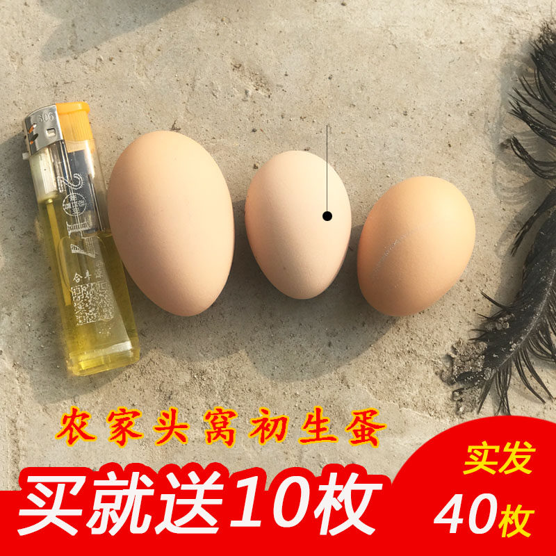 土鸡蛋农家散养新鲜农村自养纯天然放养正宗月子小蛋初生蛋笨鸡蛋