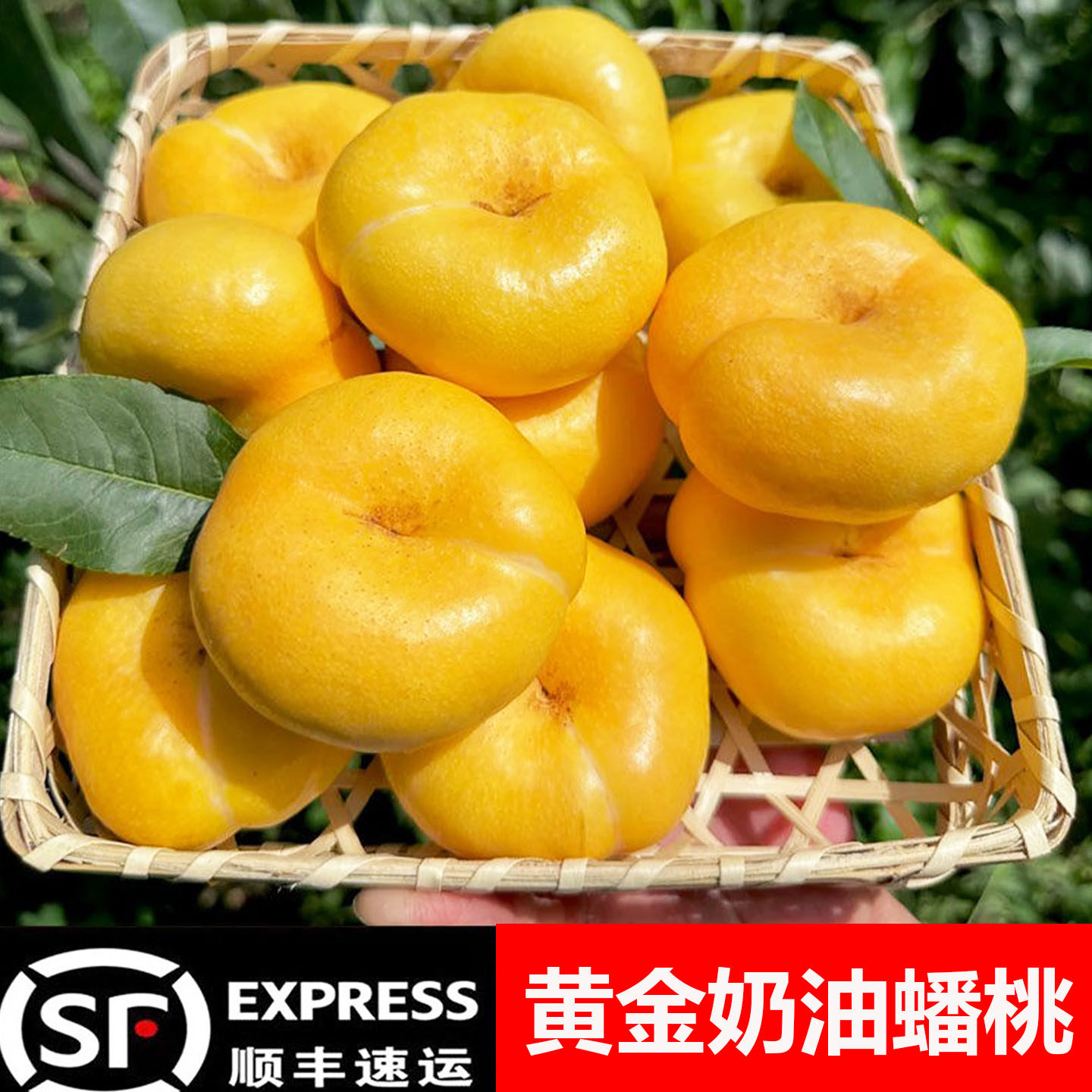 黄金奶油蟠桃新鲜水果当季整箱油蟠桃孕妇水果蒙阴蜜桃桃子新鲜