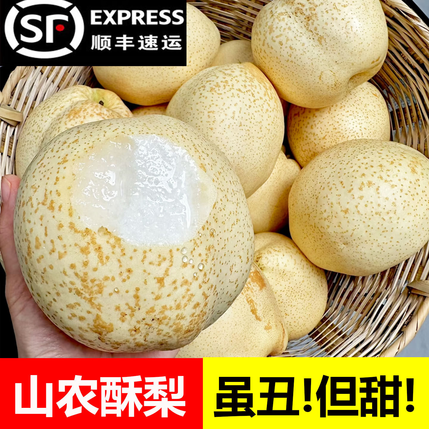 山农酥梨新鲜水果当季整箱山东农科院新品酥脆多汁冰糖羊脂梨子