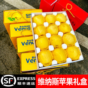 黄金维纳斯苹果新鲜水果礼盒装当季整箱孕妇水果山东雀斑苹果脆甜