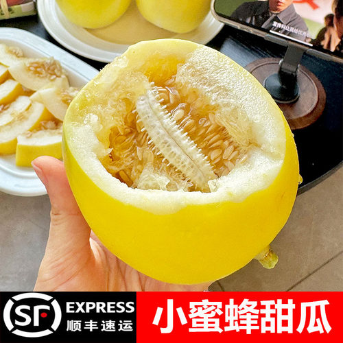小蜜蜂甜瓜正宗星甜20