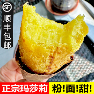 正宗玛莎莉红薯新鲜黄金榴莲蜜薯糖心烤地瓜板栗番薯日本引种山芋