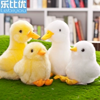 B.Duck, плюшевая игрушка, утка, популярно в интернете