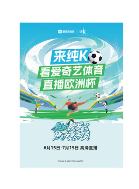 20X28cm 爱奇艺24面+欧洲杯24个国家国旗24面 一条19.2米 交叉串连