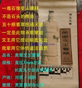羑里蓍草文王蓍草周易筹策易经筹策工具周易文化用品