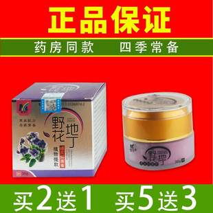 买二送一紫色野花地丁私处皮肤苗草精华抗过敏皮肤膏正品