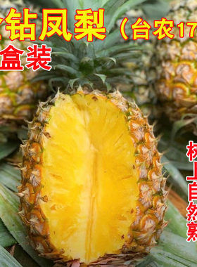 广东徐闻新鲜台农17号凤梨金钻大凤梨礼盒装农场现摘热带水果