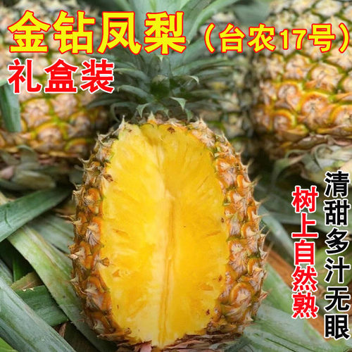 徐闻礼盒装18斤新鲜台农17号凤梨金钻大凤梨广东农垦现摘热带水果