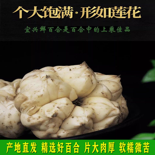 宜兴鲜百合食用土特产家用送人新鲜百合微苦软糯新鲜产地直发 - 封面