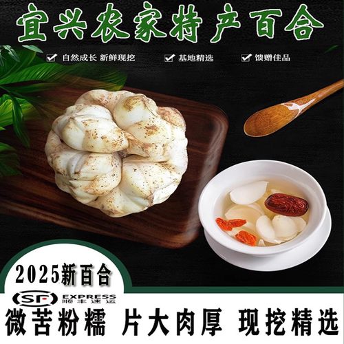 宜兴新鲜百合软糯好吃