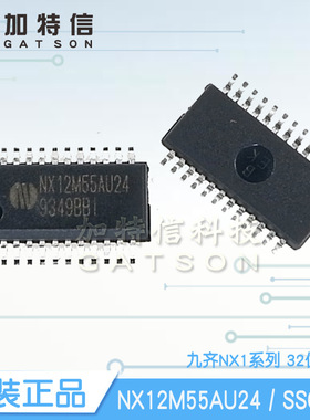 NX12M55AU24 封装SSOP24 32位MCU Nyquest/九齐原装一级代理