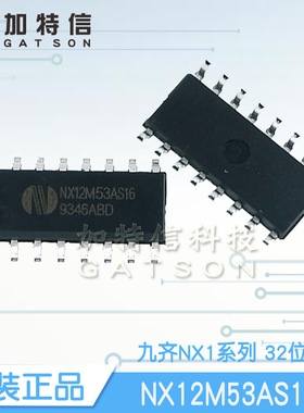 NX12M53AS16 封装SOP16 32位MCU Nyquest/九齐原装一级代理