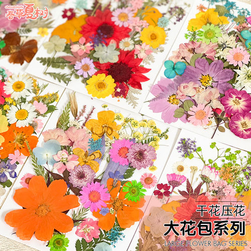 儿童手工diy材料包植物干花压花