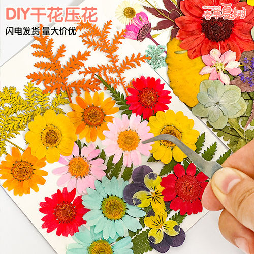 干花手工diy材料押花植物树叶标本贴枫叶书签压花装饰画天然真花
