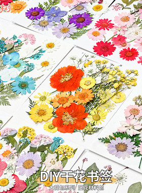 新年礼物干花diy材料包永生压花片押花草手工滴胶书签植物标本