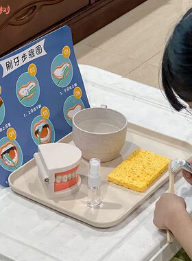 蒙氏早教小班生活区刷牙练习教具牙齿模型演示幼儿园小班区域材料