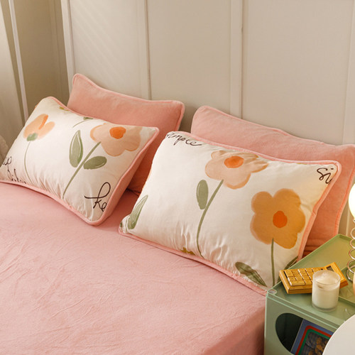 a全棉b牛奶绒枕套一对装