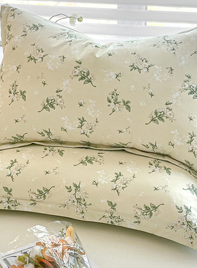 纯棉枕套一对装100全棉40x60单人儿童30x50枕头套48x74枕芯套单个