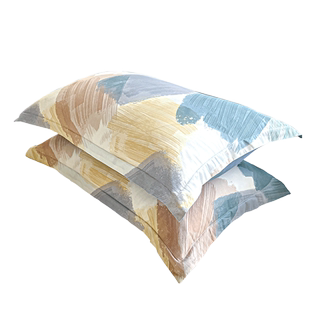 纯棉枕套30x50一只装儿童全棉单人枕头套40x60枕芯套一对装48x74