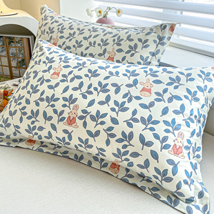 纯棉枕套一对装 100全棉40x60单人48x74枕头套儿童30x50枕芯套单个