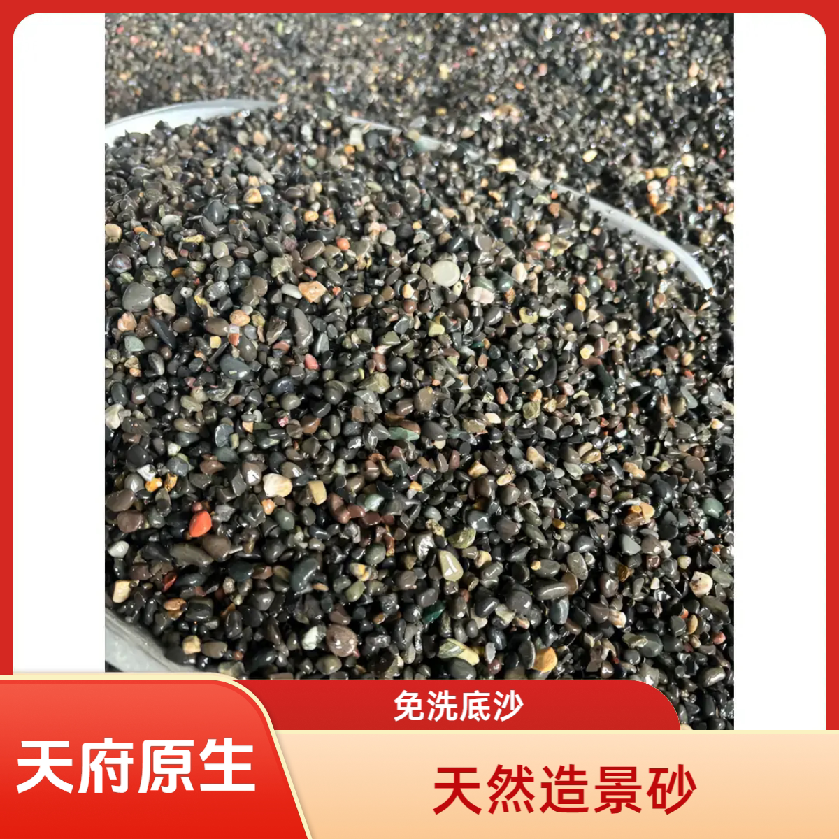 免洗底砂溪流缸鱼缸造景纯天然生态溪流砂吉罗乌龟水族鱼通用图片
