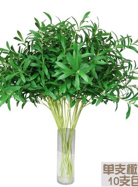 婚庆植物绿叶插花橄榄枝10只包邮
