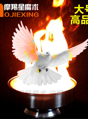 火盆出鸽魔术道具摩羯星不锈钢