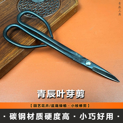 青辰叶芽剪园艺家用小枝剪盆景细枝剪拆铝丝修枝花艺插花剪枝剪刀